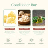 Daily Shine Conditioner Bar – Silky, Smooth & Frizz-Free Hair - 40 gm