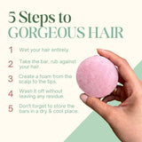 Hibiscus Punch Shampoo Bar for Dry and Frizzy Hair